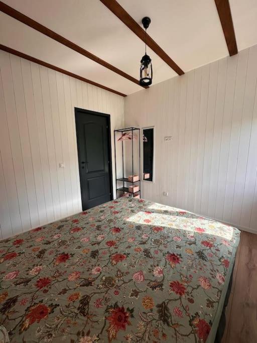 Alpine Chalet بريديلوت المظهر الخارجي الصورة